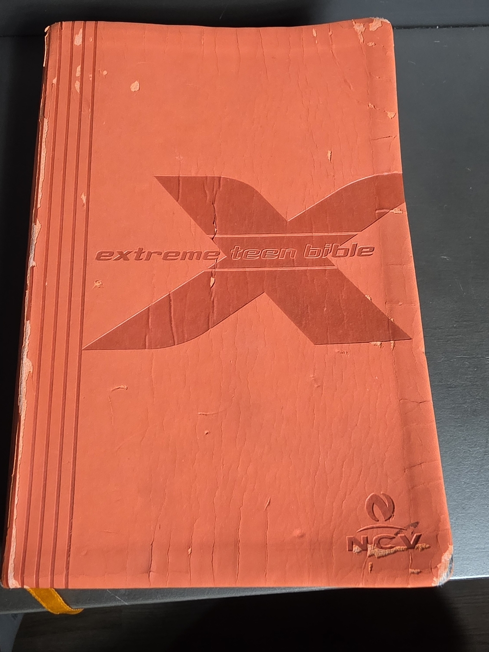 Extreme Teen Bible - Orange Faux Leather Cover Inside Is In Great Condition